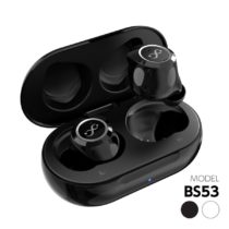 完全ワイヤレスイヤホン　ＡＡＣ対応　ＩＰＸ５防水　Ｂｌｕｅｔｏｏｔｈ　Ｖｅｒ５．０　テレワーク　マイク付き　ＢＳ５３モデル